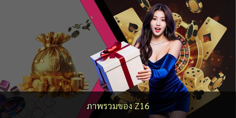 ภาพรวมของ Z16