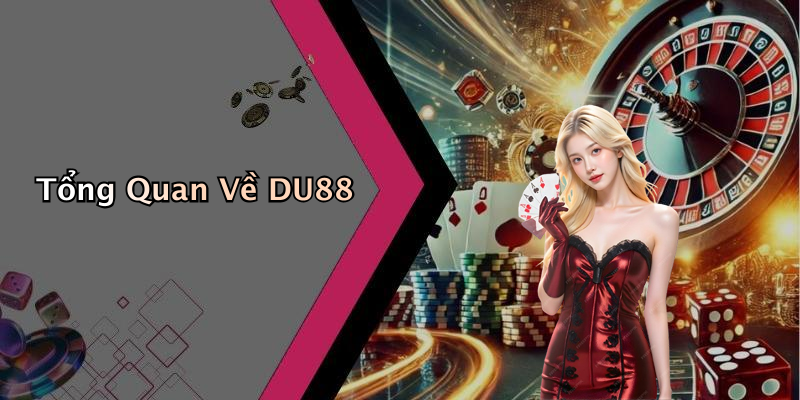 Tổng Quan Về DU88