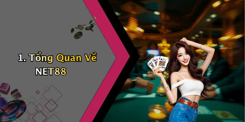 1. Tổng Quan Về NET88